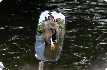 elefante inundación bangkok