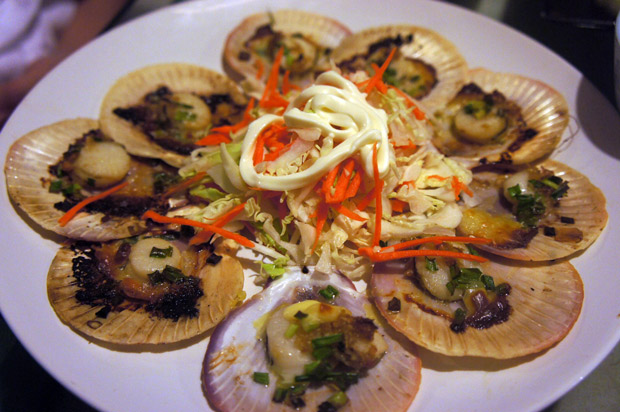 Shells-with-salad-Toi-shell